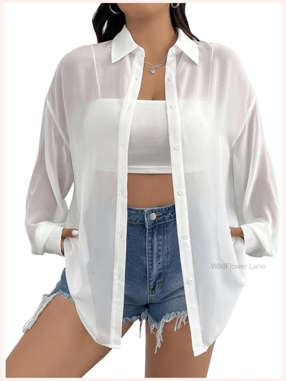 Sheer Button Down Long Sleeve Blouse Top Plus Size See Through
